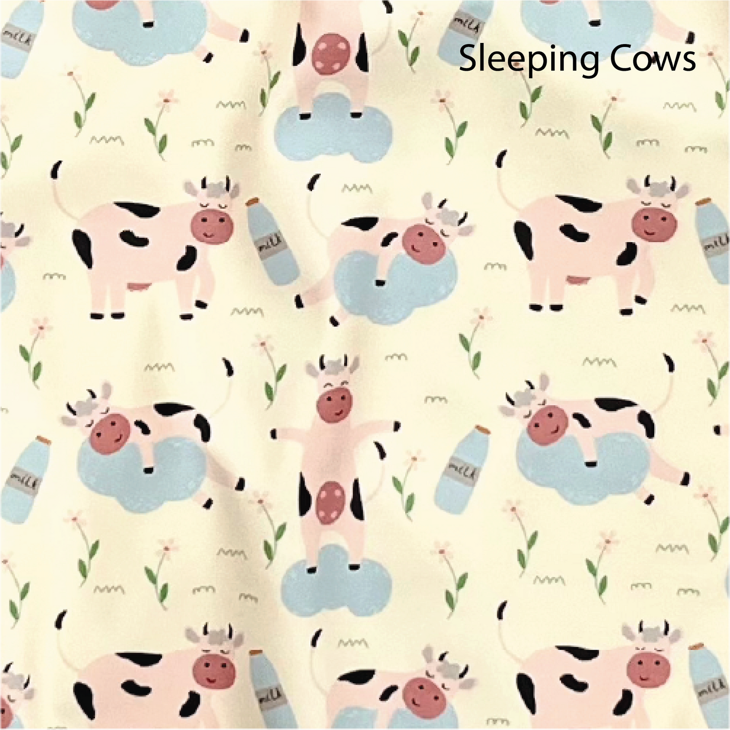 5 Piece Silicone Feeding Set