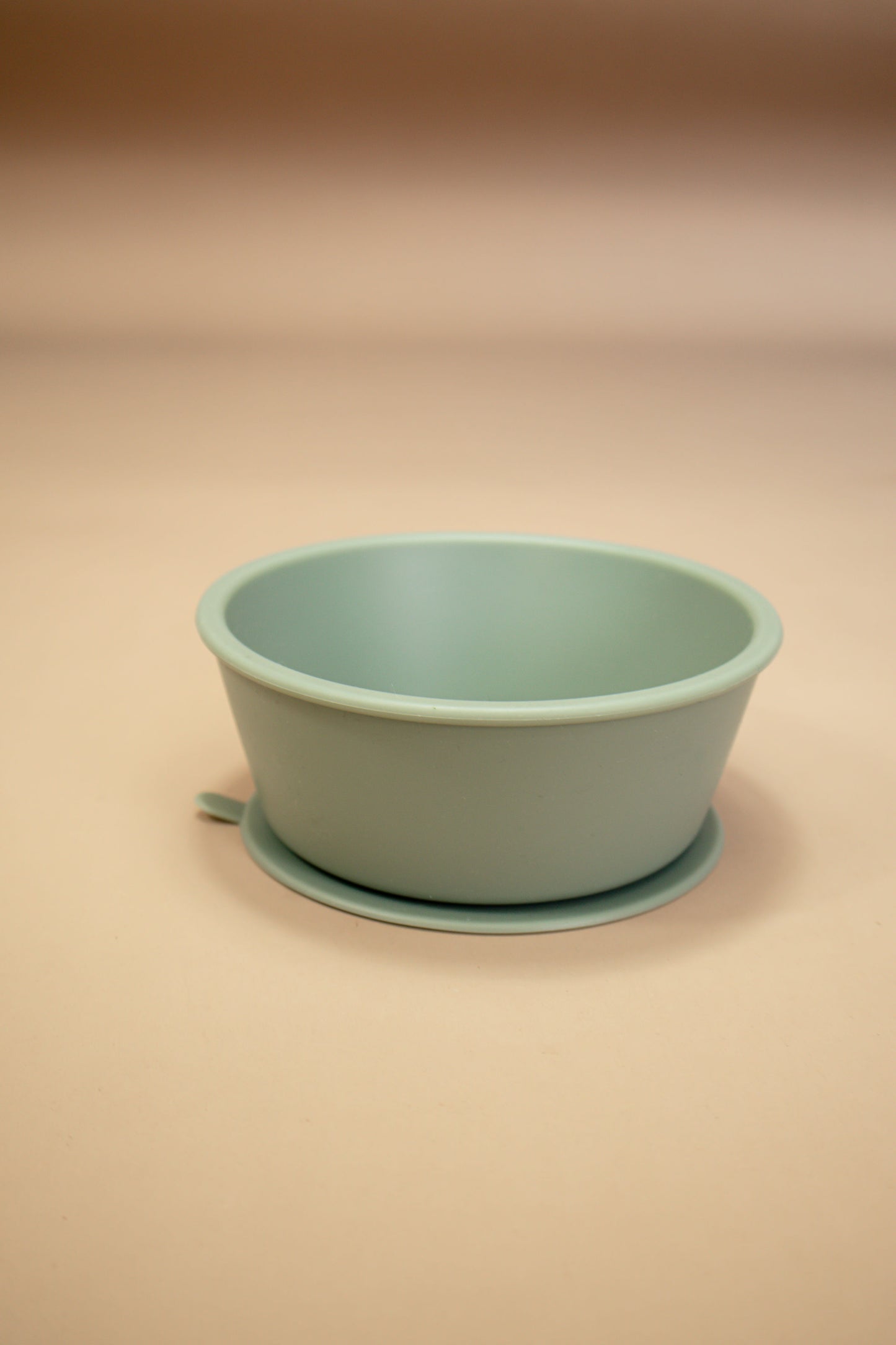 Silicone Bowl